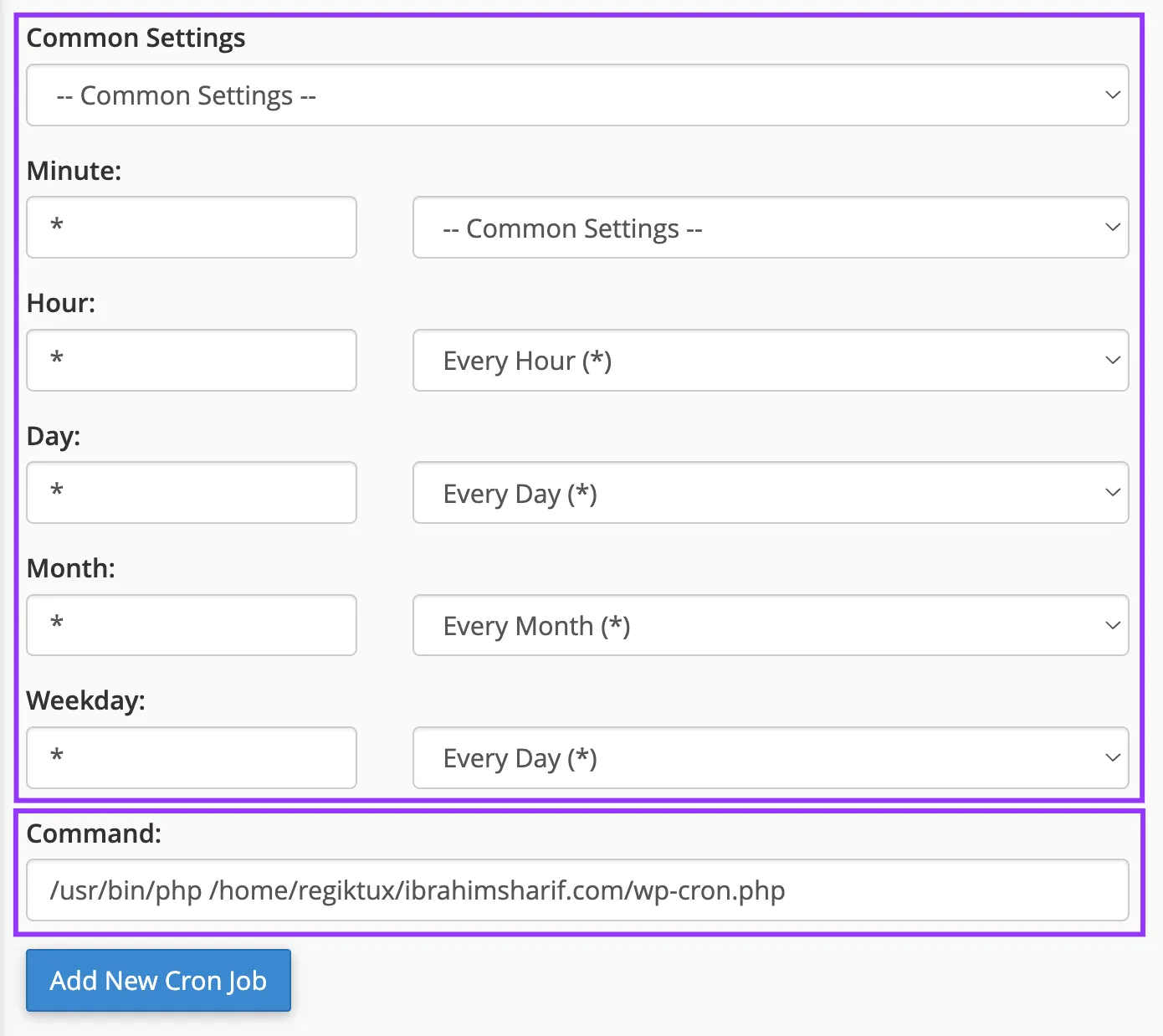 cPanel cron job settings