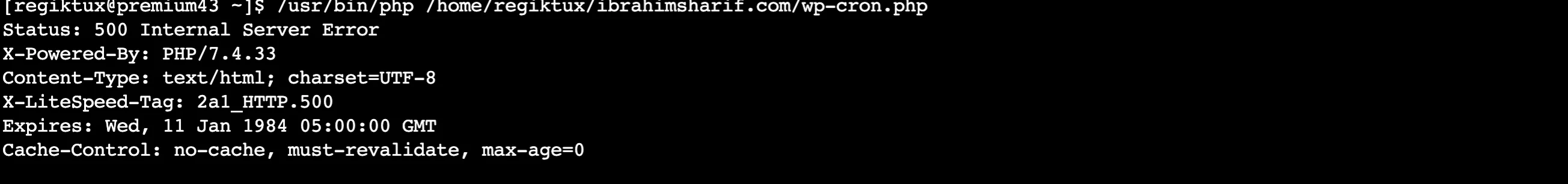 Cron command 500 error screenshot