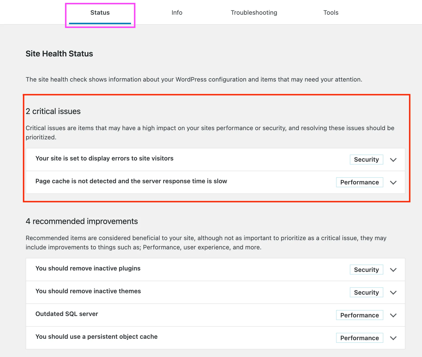WordPress Site Health Status tab